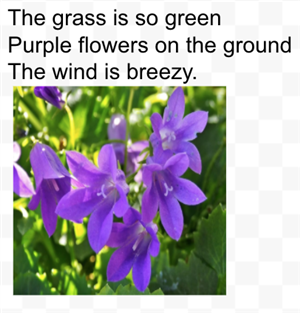 The grass 